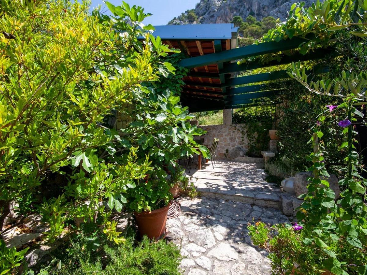 Luxurious Holiday Home In Makarska With Jacuzzi Exteriér fotografie